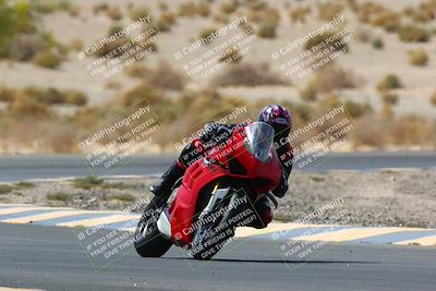 media/Apr-10-2022-SoCal Trackdays (Sun) [[f104b12566]]/Turn 5 Tree of Life (1040am)/